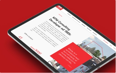 MTM CONSULTING DEVELOPER